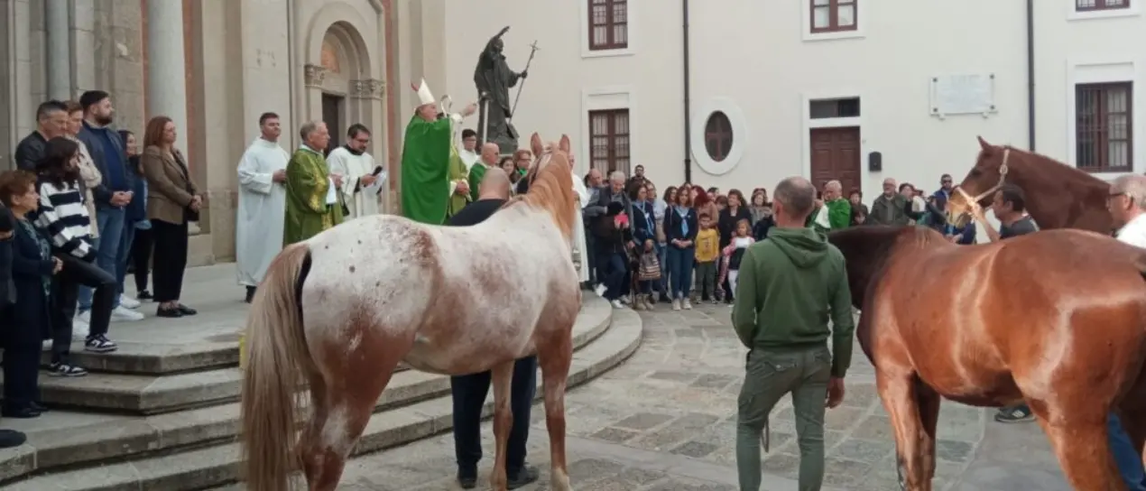 A Mileto la Giornata del ringraziamento: il vescovo Nostro benedice i lavoratori dei campi, mezzi agricoli e animali radunati in piazza