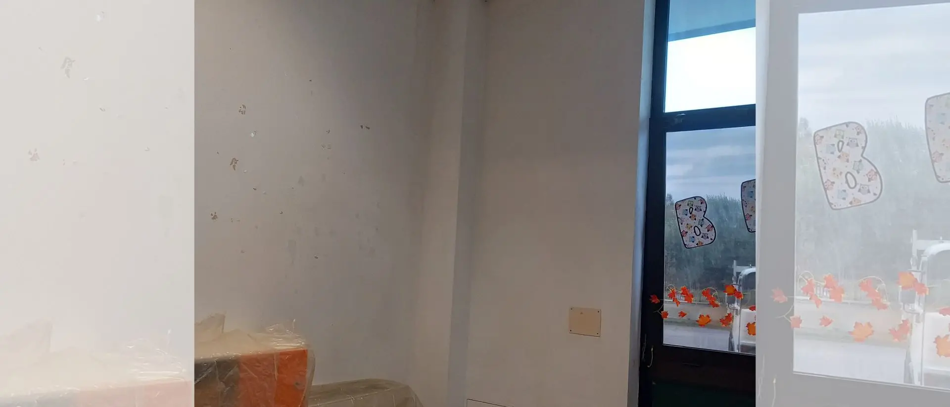 Scuola Murmura a Vibo, il Comune: «La muffa in una delle aule è stata rimossa»