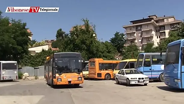 Arriva “Vibo in bus”, la campagna informativa sul trasporto pubblico