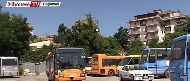 Arriva “Vibo in bus”, la campagna informativa sul trasporto pubblico