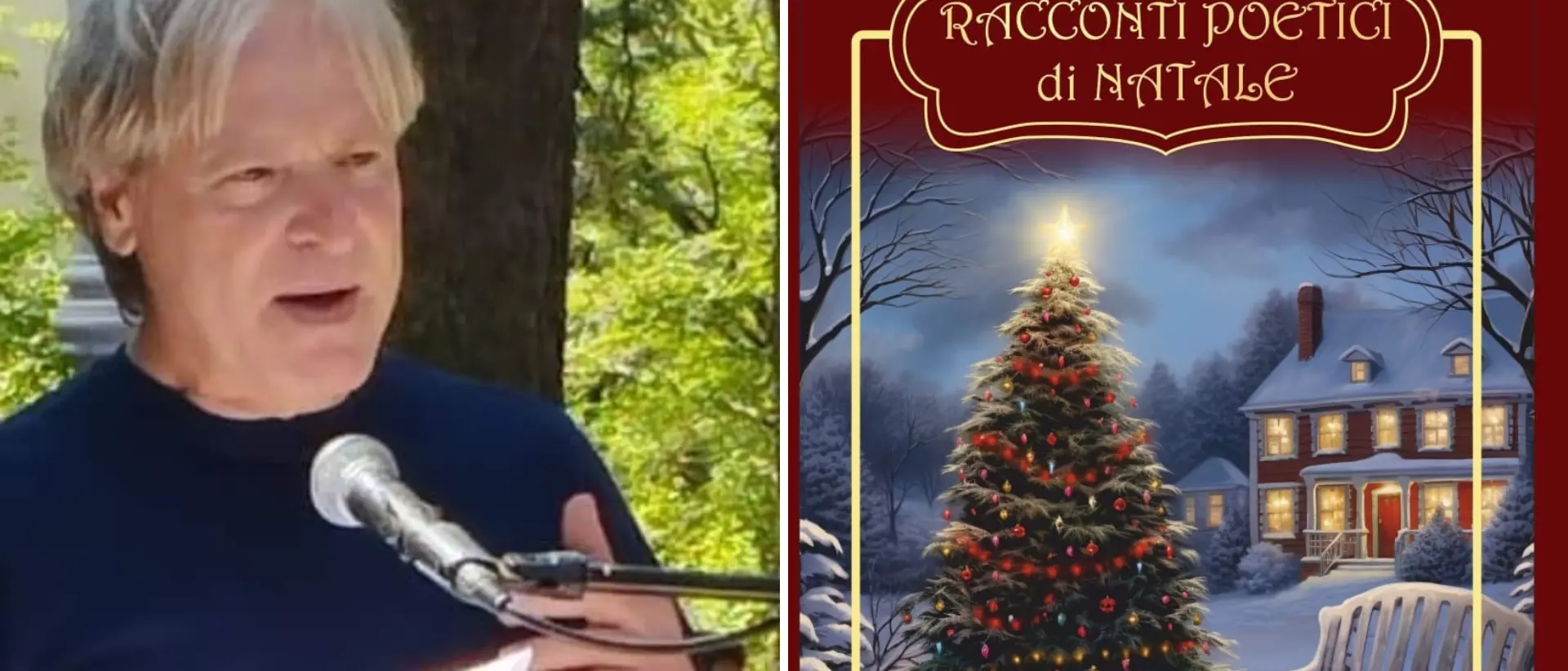 Racconti poetici di Natale, Vibo pronta a tuffarsi nella magia delle feste con l'ultimo libro di Michele Petullà