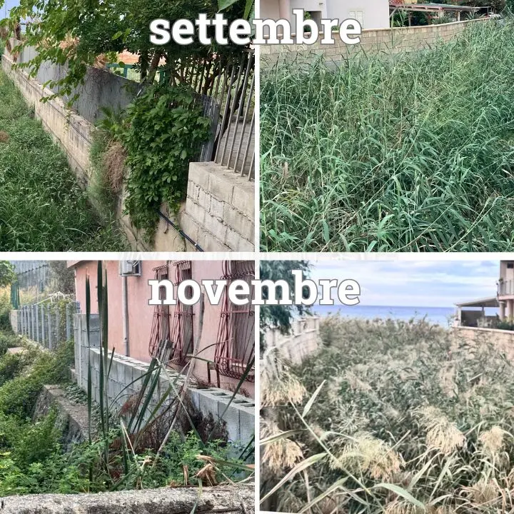 Torrenti di Vibo Marina come foreste tropicali, corsi d’acqua a rischio esondazione: da queste parti Sicilia e Spagna sembrano non far paura