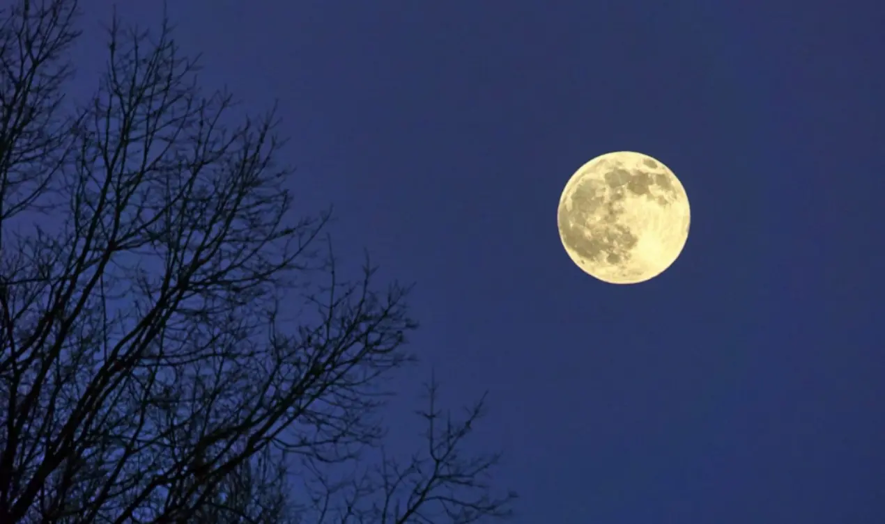 Occhi al cielo, arriva lo spettacolo della superluna del castoro: ecco cos'è e come vederla