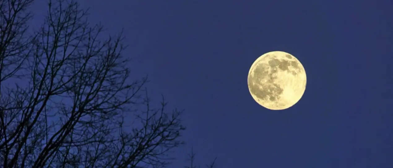 Occhi al cielo, arriva lo spettacolo della superluna del castoro: ecco cos'è e come vederla