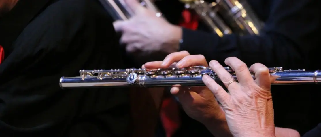A Serra San Bruno il concerto del complesso bandistico per omaggiare i 30 anni di musica di Note in festa