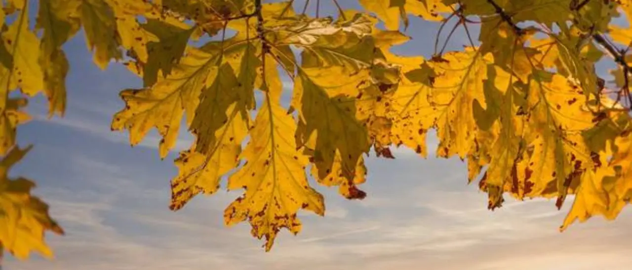 Meteo Vibonese, nel week end nubi sparse ma niente pioggia e più freddo: temperature in calo