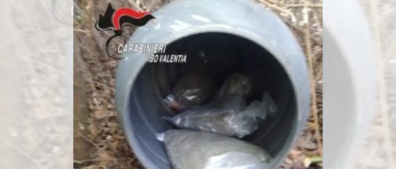 Gerocarne, ritrovati 4 chili di marijuana in un bidone di plastica nascosto tra la vegetazione