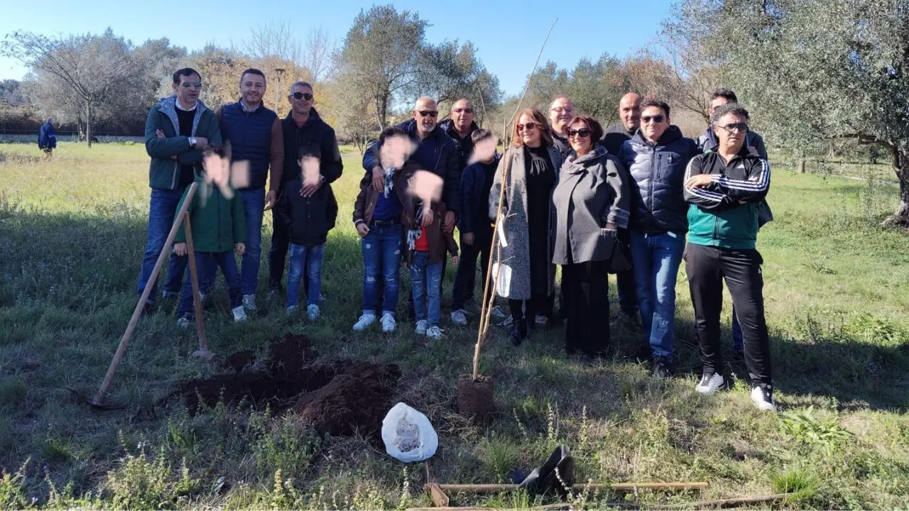 Vibo: dopo il successo della Festa dell'Albero l'associazione Moderata Durant guarda oltre il quartiere per nuove iniziative civiche