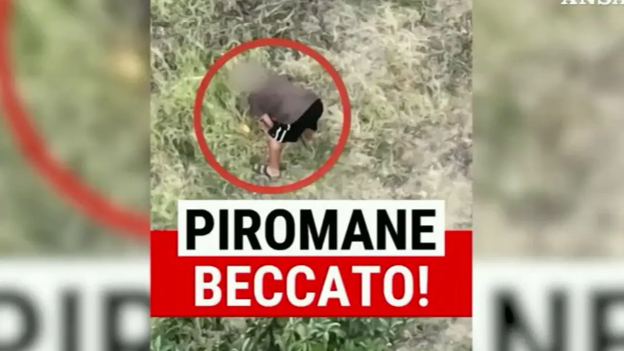 Comito (Fi) esalta l’azione di Occhiuto contro gli incendi boschivi: «Con l'operazione Tolleranza zero risultati straordinari»