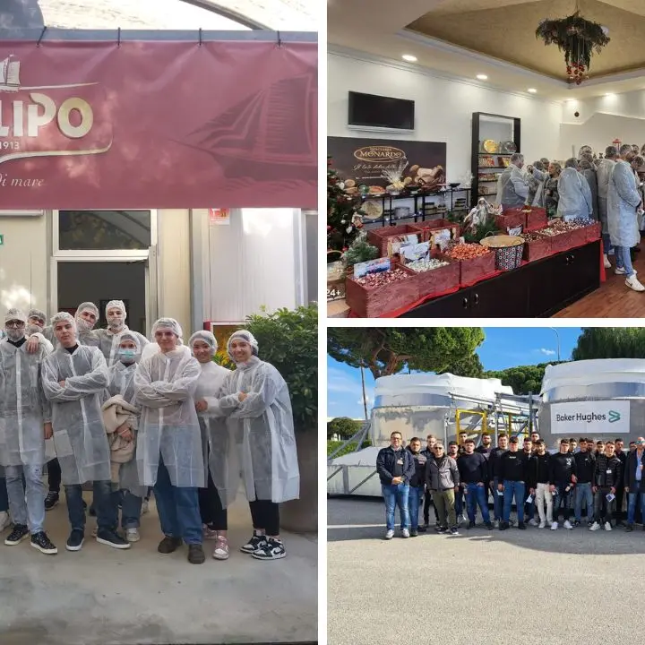 La scuola incontra il mondo del lavoro, oltre 200 studenti in visita nelle piccole e medie imprese vibonesi