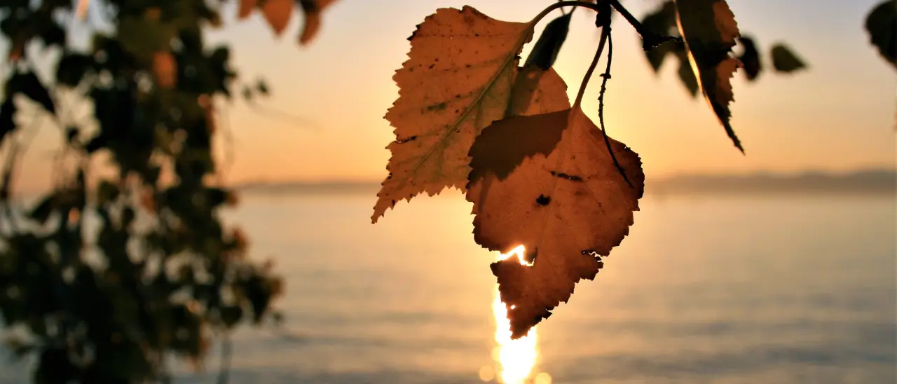 Meteo Vibonese, settimana di sole e temperature miti in attesa del grande freddo