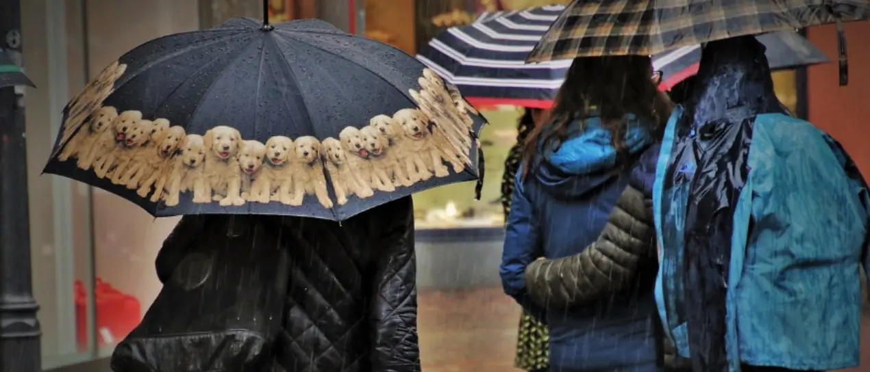 Maltempo senza tregua nel Vibonese: weekend ancora sotto la pioggia