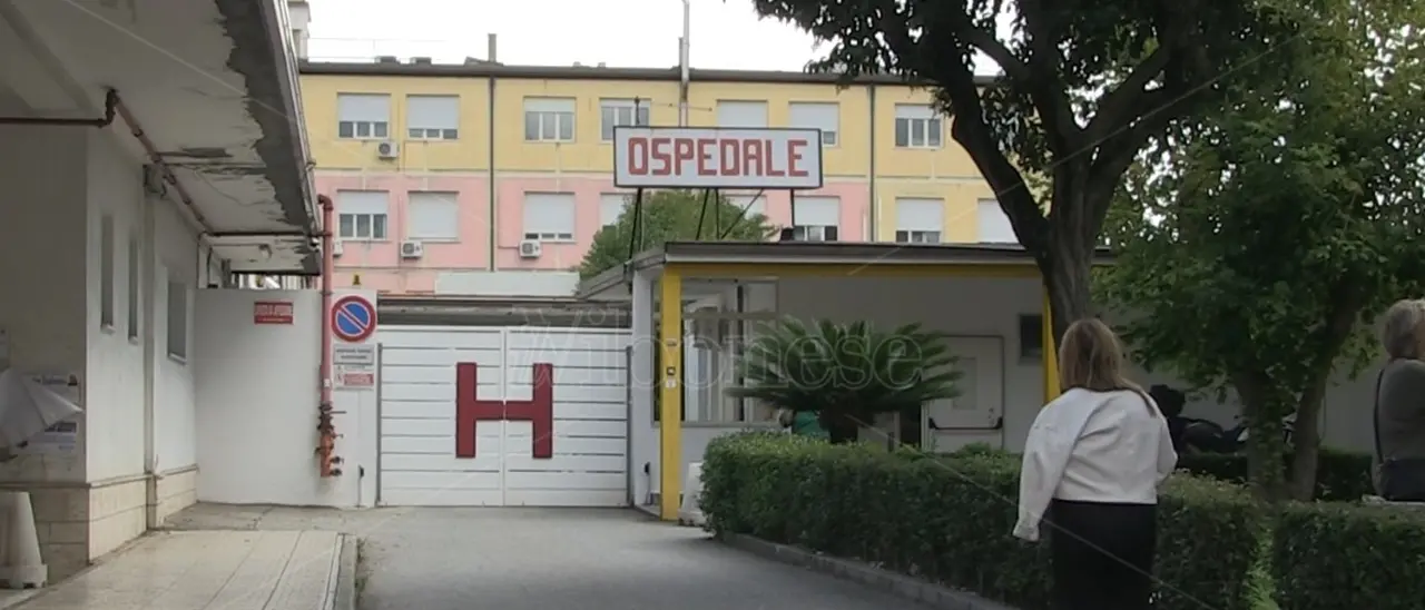 Sanità vibonese nel caos, Più Europa si appella ai sindaci in vista della Conferenza: «Azioni urgenti comuni o dimissioni in blocco»