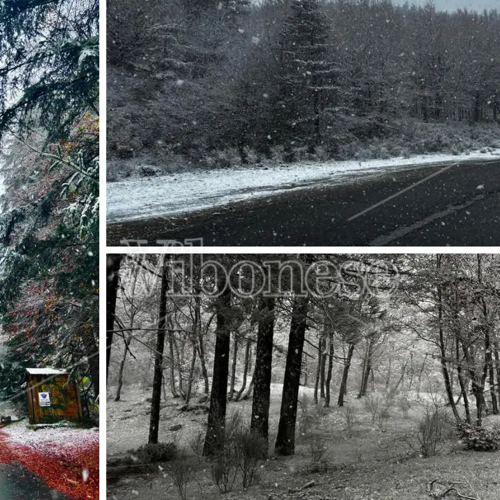 Prove d’inverno nel Vibonese: freddo, pioggia e prime nevicate sui monti delle Serre