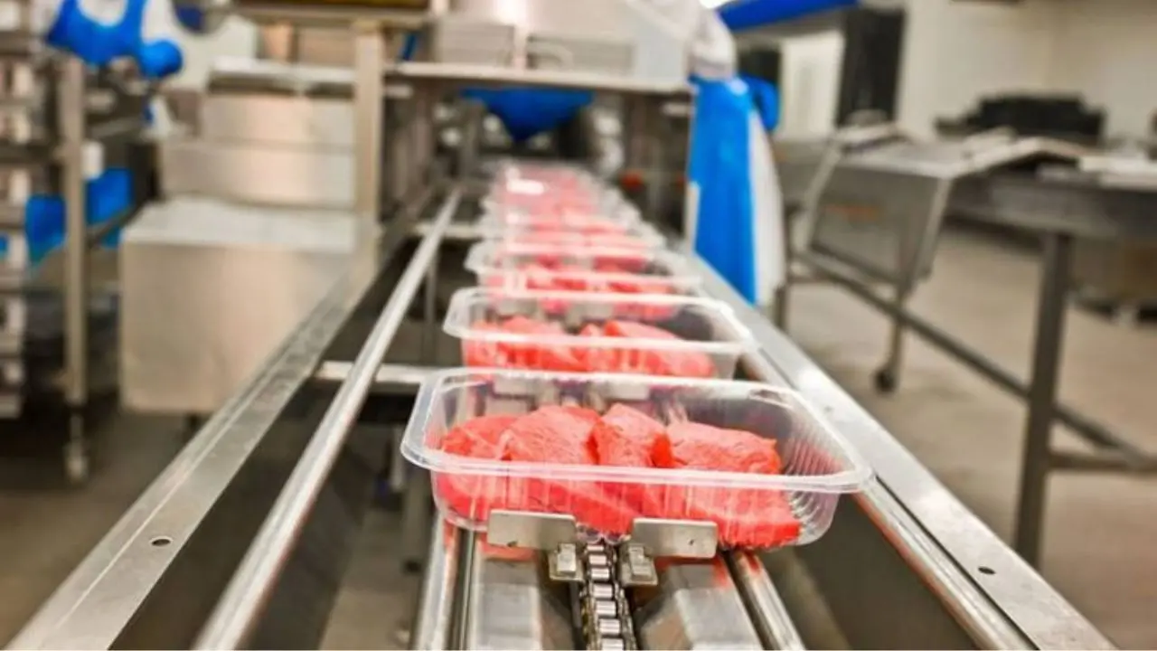 Future food med e Banco alimentare siglano a Vibo l’accordo \"Cibo per la vita\" contro spreco e povertà. Ecco il programma