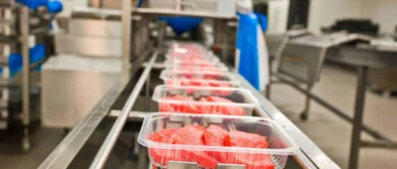 Future food med e Banco alimentare siglano a Vibo l’accordo \"Cibo per la vita\" contro spreco e povertà. Ecco il programma