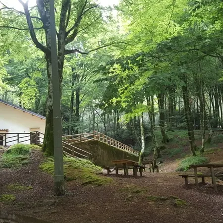 Parco naturale delle Serre, il perimetro si allarga al territorio di Polia