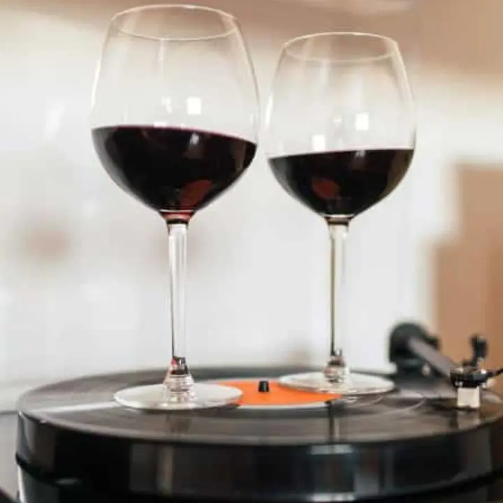 A Vena di Ionadi la seconda edizione di \"Vini & Vinili\": una serata all'insegna dell'inclusione