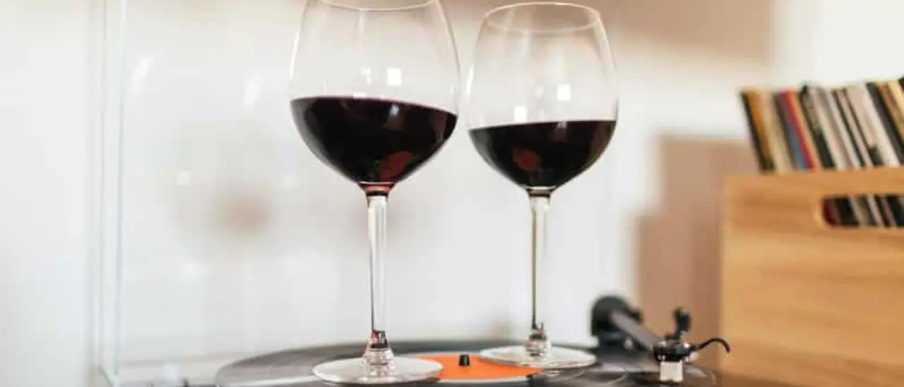 A Vena di Ionadi la seconda edizione di \"Vini & Vinili\": una serata all'insegna dell'inclusione