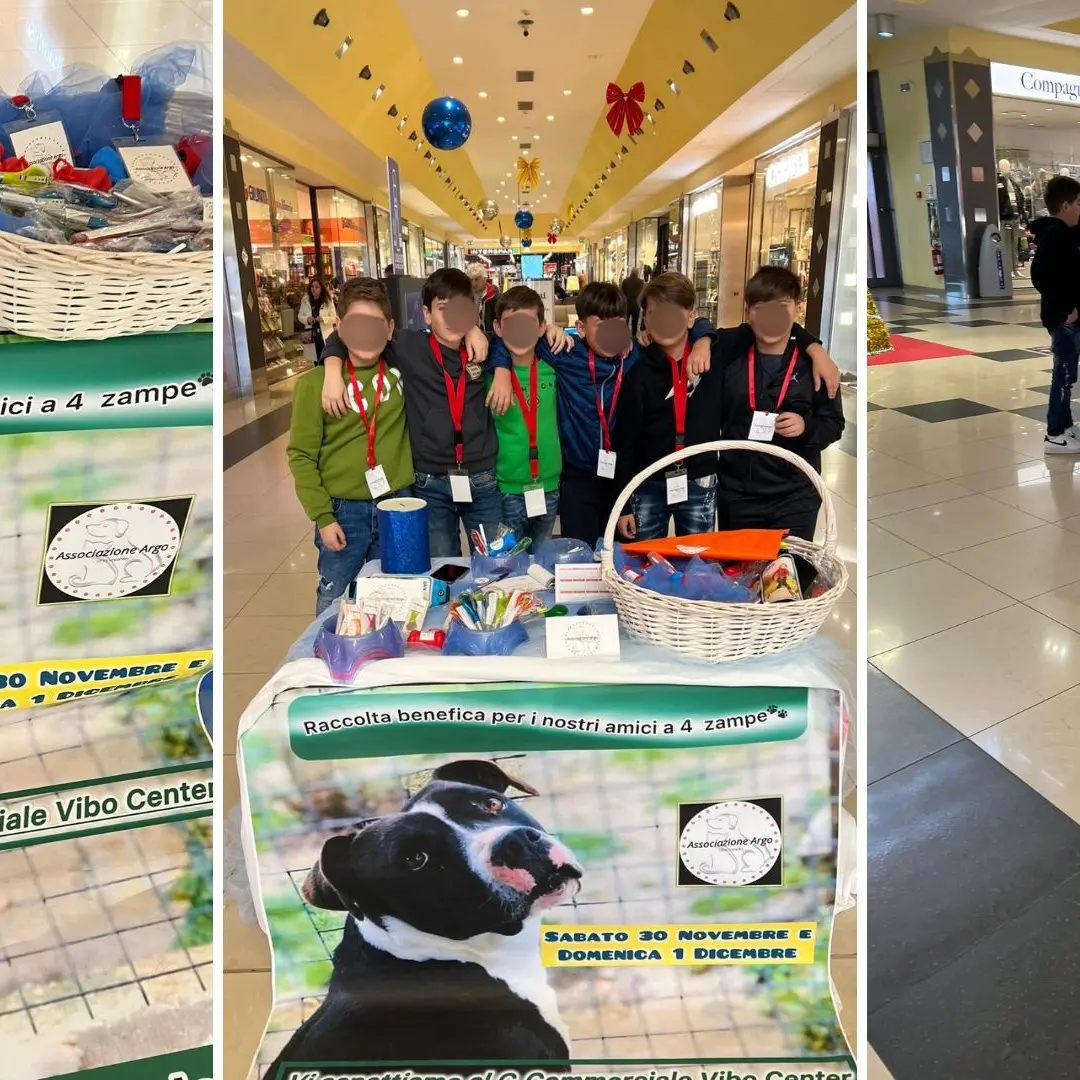Vibo, piccoli volontari in campo a sostegno di una raccolta fondi per i cani in attesa d’adozione