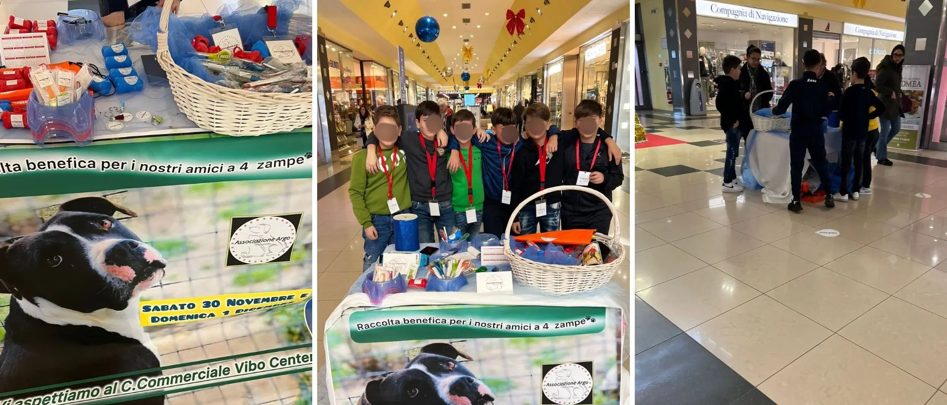 Vibo, piccoli volontari in campo a sostegno di una raccolta fondi per i cani in attesa d’adozione