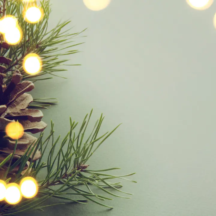 Zambrone celebra il Natale con la nona edizione del Festival Nativitas. Ecco tutti gli appuntamenti in programma