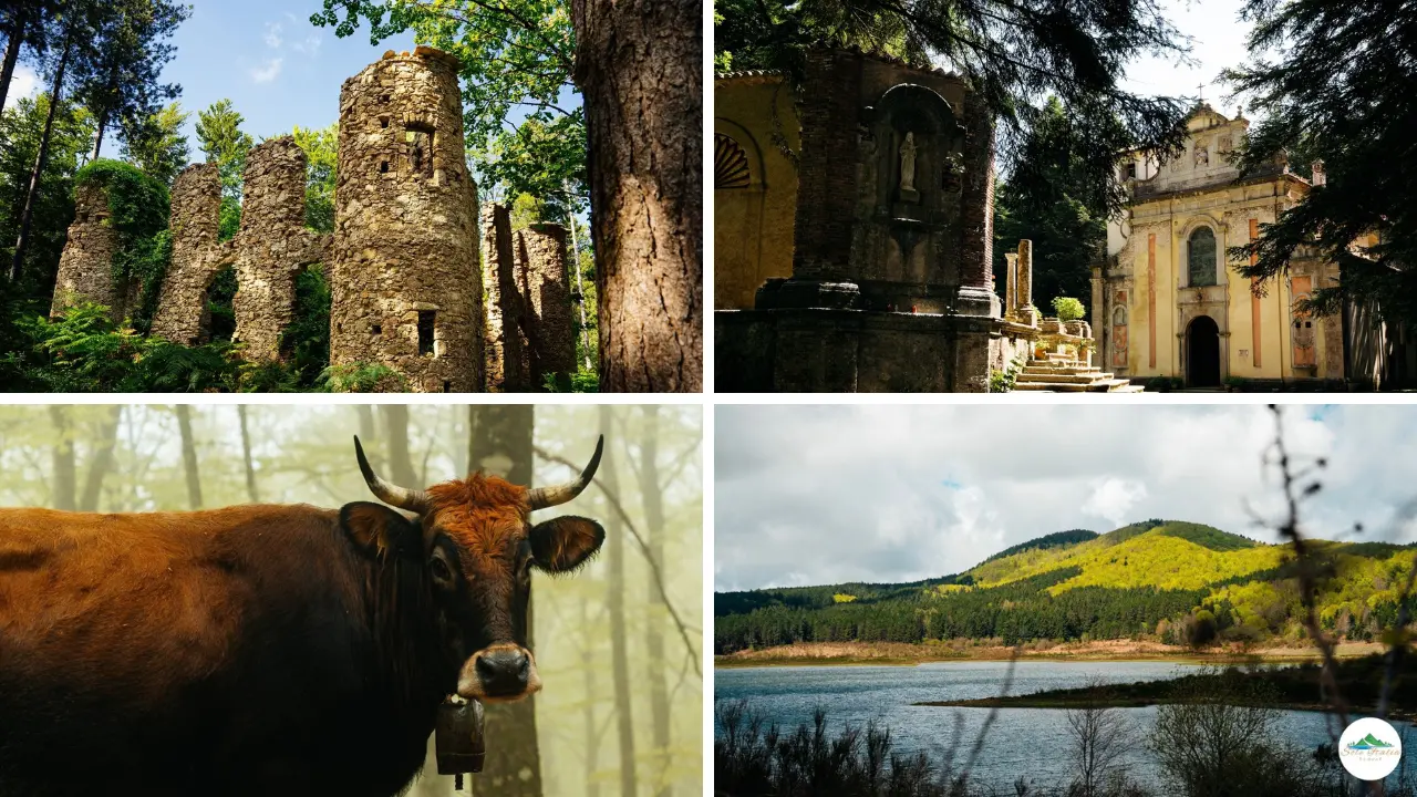 Il rilancio del turismo nelle Serre attraverso un innovativo portale online: la presentazione mercoledì al Parco - VIDEO