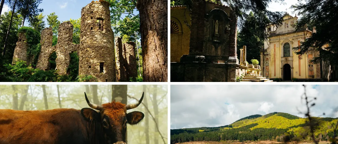 Il rilancio del turismo nelle Serre attraverso un innovativo portale online: la presentazione mercoledì al Parco - VIDEO