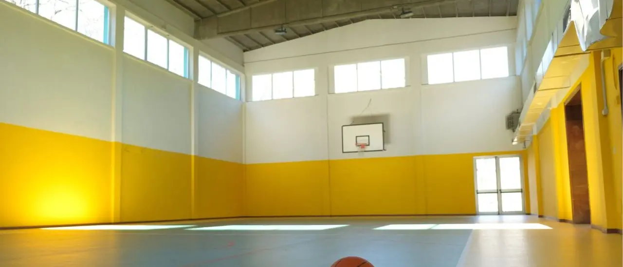 Maierato, il ministero stanzia 340mila euro per la riqualificazione e la messa in sicurezza delle palestre scolastiche