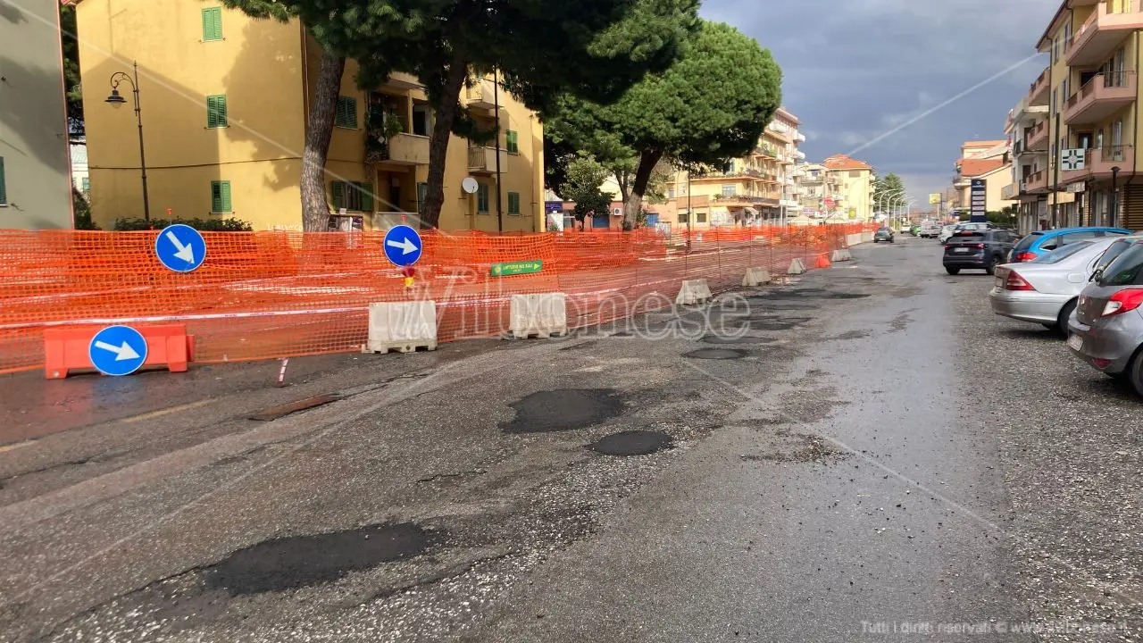 Vibo, viale Affaccio appeso all’albero (caduto) e al report dell’agronomo che ancora non arriva
