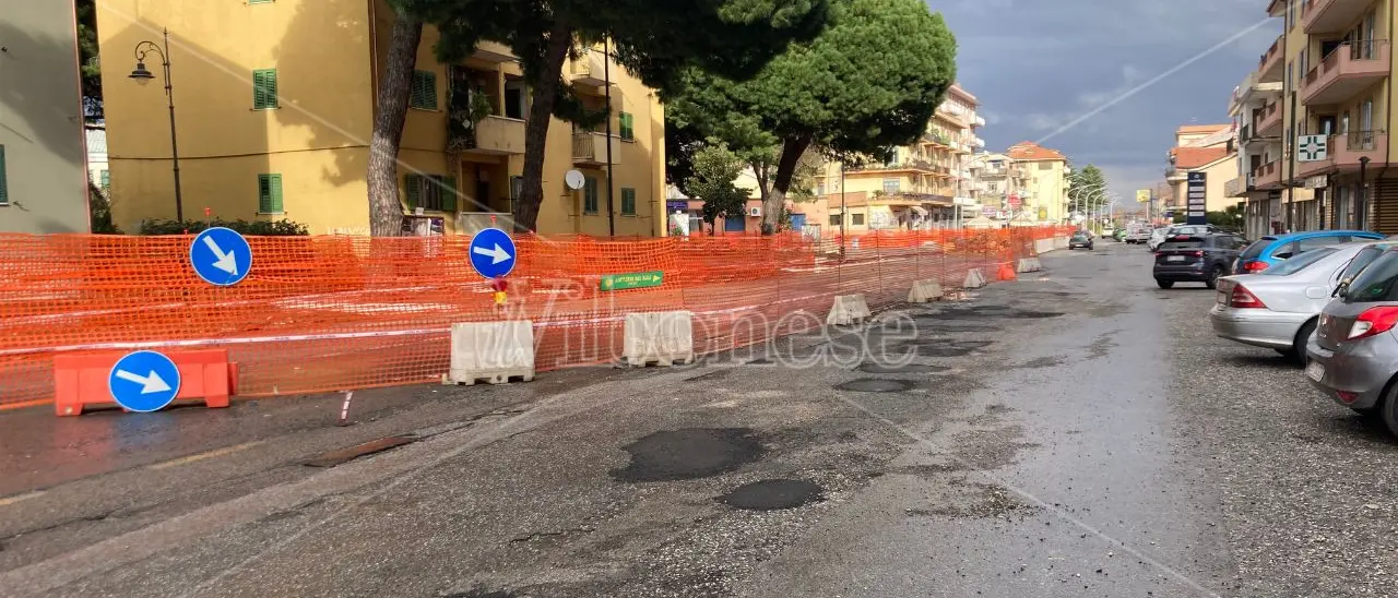 Vibo, viale Affaccio appeso all’albero (caduto) e al report dell’agronomo che ancora non arriva