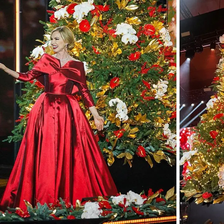 I fiori coltivati a Vibo approdano sul palco del Concerto di Natale in Vaticano