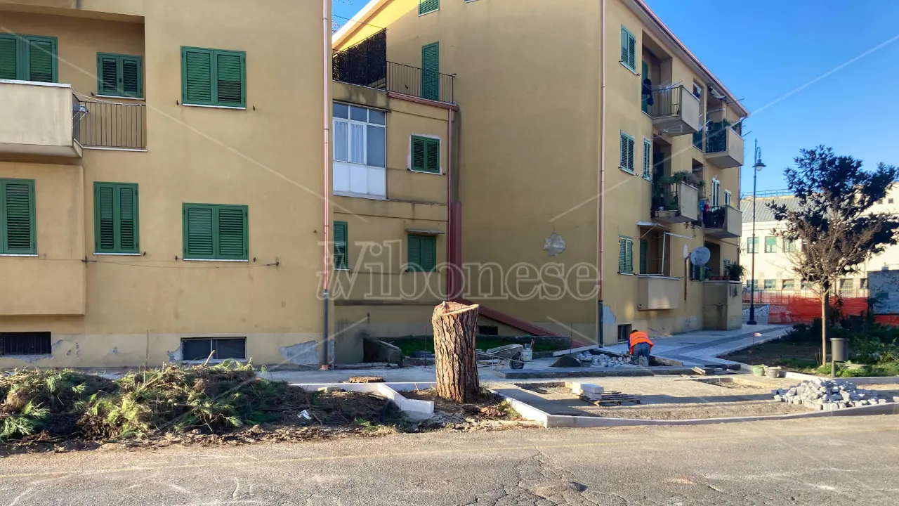 Vibo, da \"giardino sul mare\" che fu all'odierna strage di alberi: possibile che nessuno potesse essere salvato?