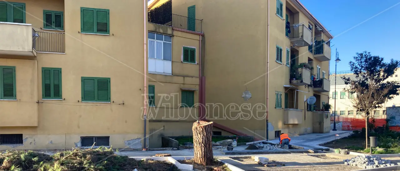Vibo, da \"giardino sul mare\" che fu all'odierna strage di alberi: possibile che nessuno potesse essere salvato?