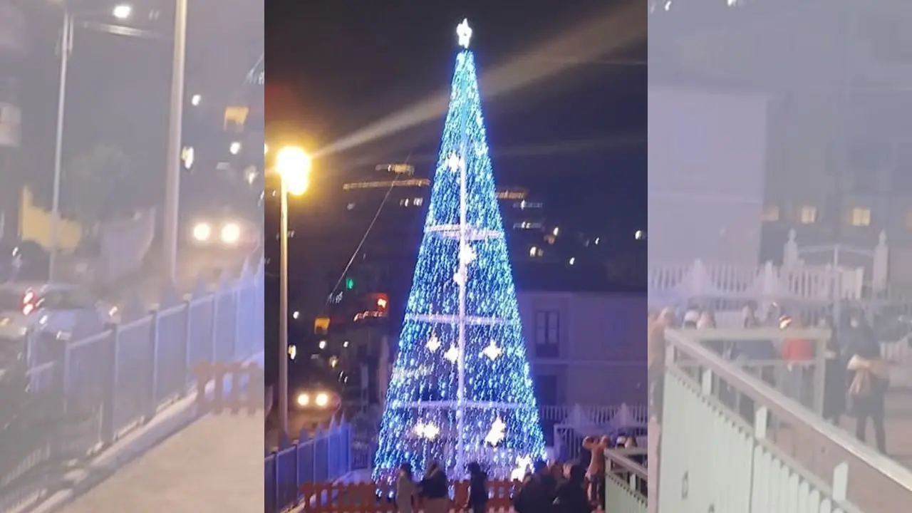 Vibo Marina, l’accensione dell’albero di Natale dà il via al cartellone degli eventi per le festività