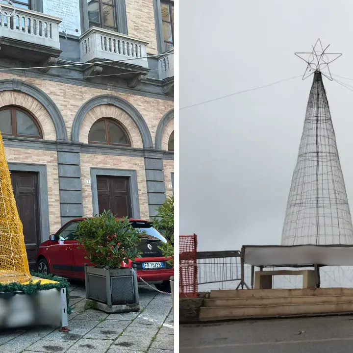 «Gli alberi di Natale a Vibo pubblicizzano alcool ma un regolamento lo vieta»: la denuncia della consigliera comunale Corrado