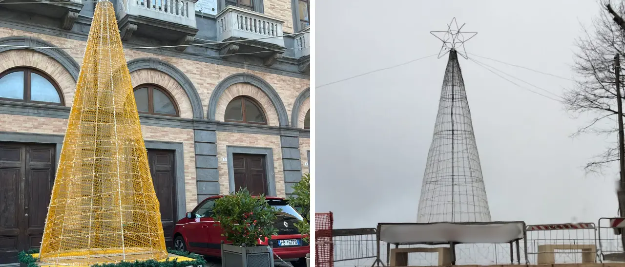 «Gli alberi di Natale a Vibo pubblicizzano alcool ma un regolamento lo vieta»: la denuncia della consigliera comunale Corrado