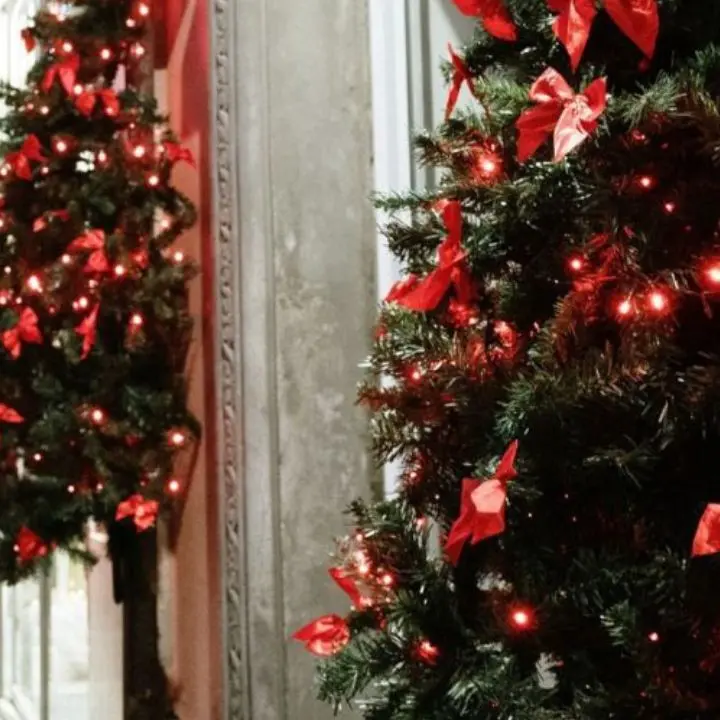 L'associazione Vetrine Vibonesi illumina le Feste in città con piccoli alberi di Natale davanti ai negozi