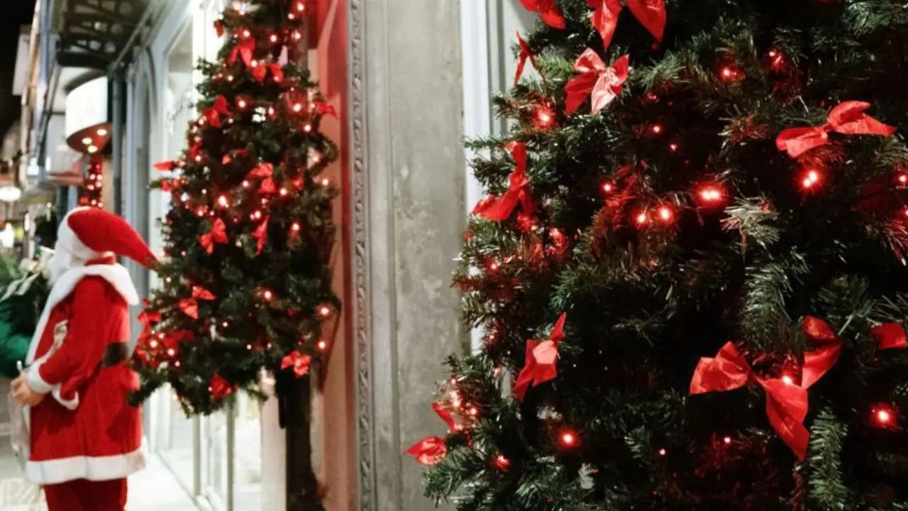 L'associazione Vetrine Vibonesi illumina le Feste in città con piccoli alberi di Natale davanti ai negozi