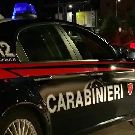 Armi, giro di vite dei carabinieri della provincia di Vibo Valentia