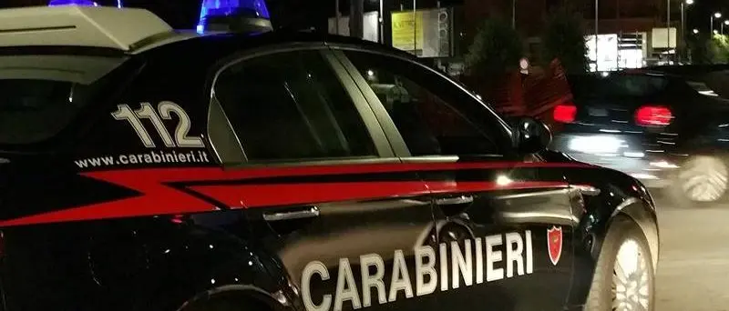Armi, giro di vite dei carabinieri della provincia di Vibo Valentia