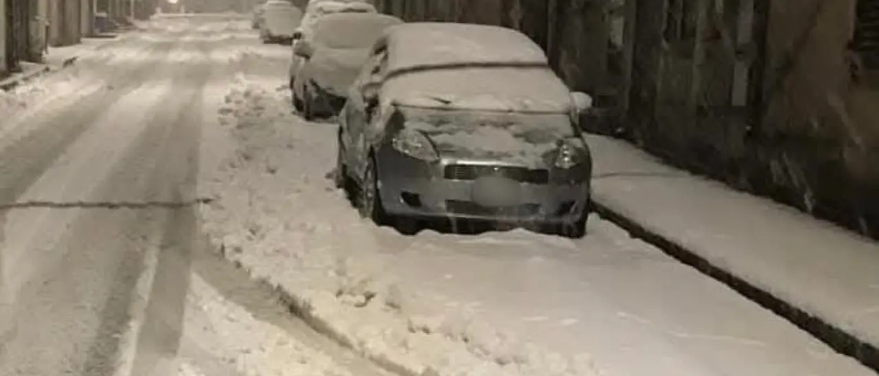 Lo spettacolo della neve sulle Serre vibonesi. In Calabria vigilia di Natale con i fiocchi, ecco dove