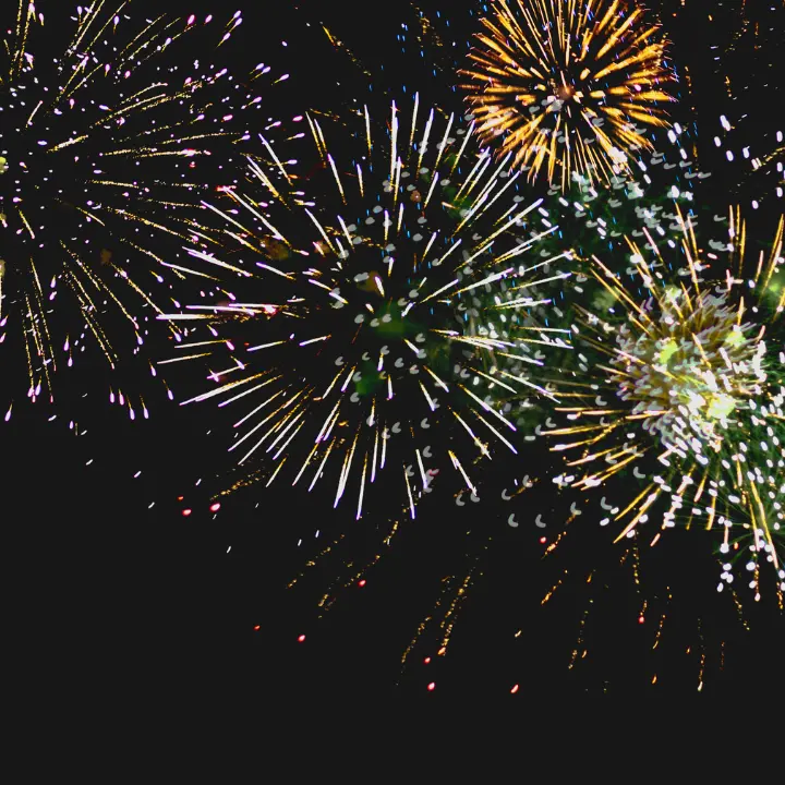 Capodanno a Vibo, ecco tutti i divieti disposti dal Comune per festeggiare in sicurezza