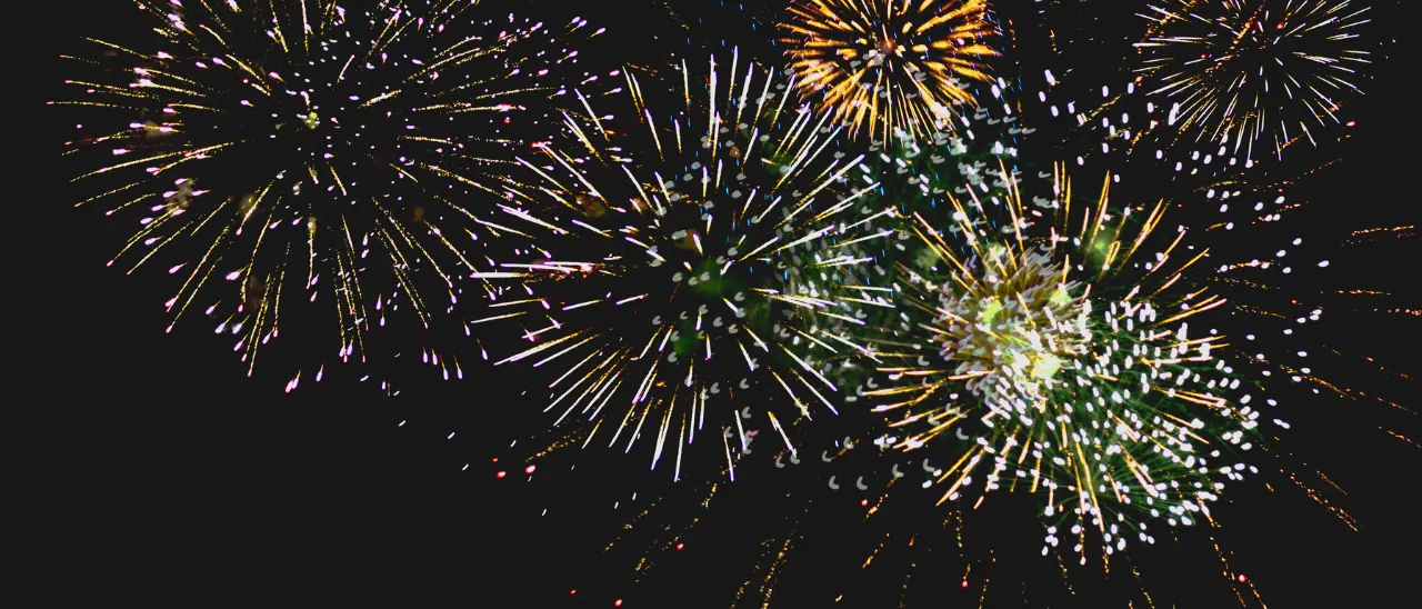 Capodanno a Vibo, ecco tutti i divieti disposti dal Comune per festeggiare in sicurezza