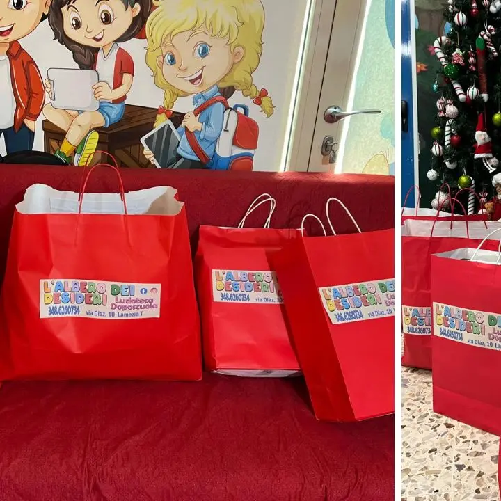 Vibo, giocattoli per il reparto Pediatria dell’ospedale di Vibo: il gesto solidale del centro l’Albero dei desideri
