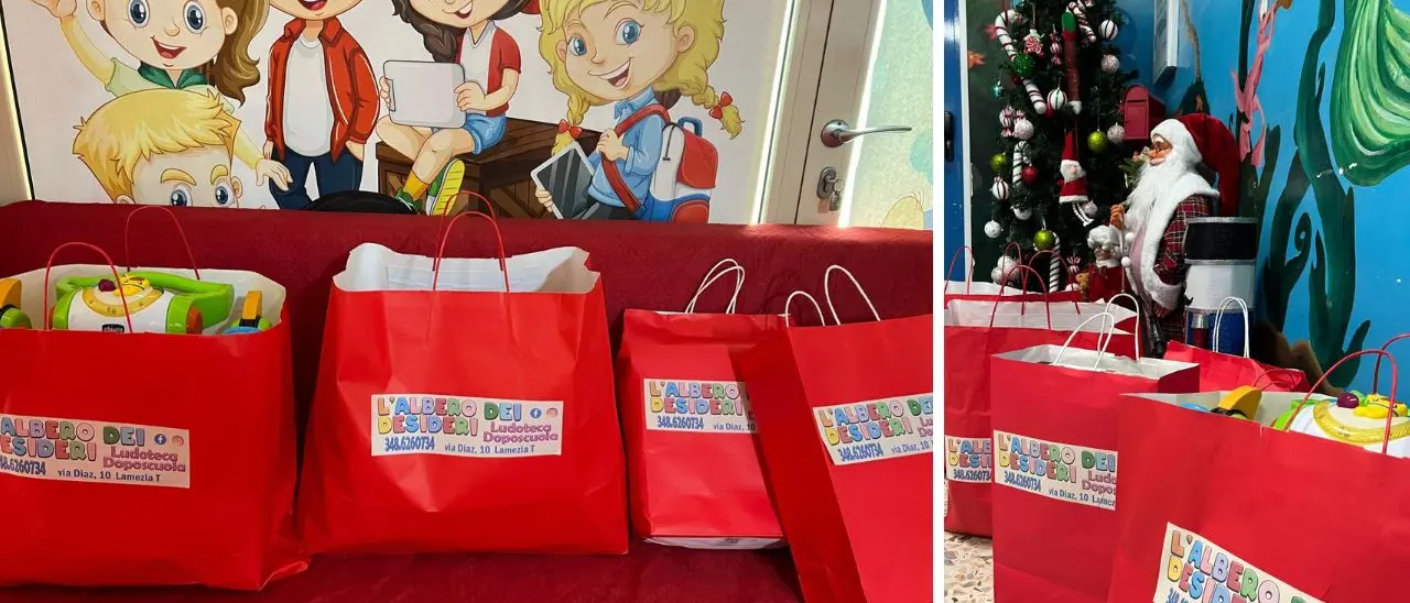 Vibo, giocattoli per il reparto Pediatria dell’ospedale di Vibo: il gesto solidale del centro l’Albero dei desideri