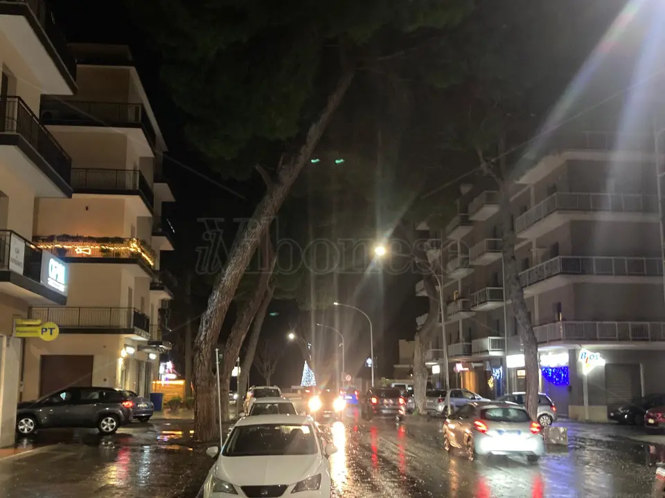 Vibo, ci vogliono 150mila euro per il Piano comunale del verde: incarico già affidato, ma nel resto d’Italia costi (molto) più bassi