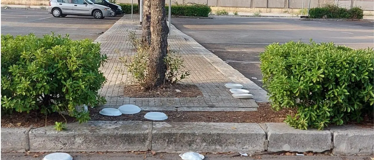 Cani e gatti randagi a Zungri, il Comune vieta di lasciare cibo per strada: multe fino a 500 euro