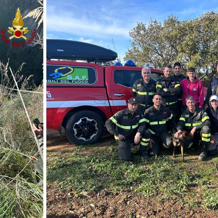 Cagnolino cade in un dirupo per 30 metri a Zambrone: salvato dai vigili del fuoco
