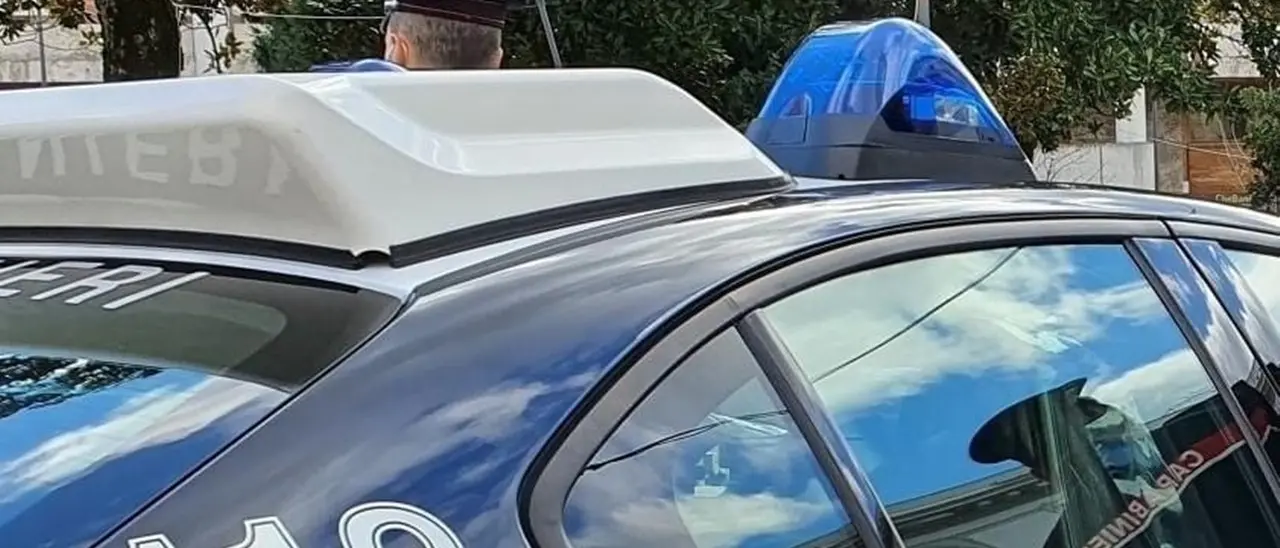 Ucciso nel Reggino un 27enne di Serra San Bruno: è il quarto omicidio in tre anni nelle campagne al confine con il Vibonese